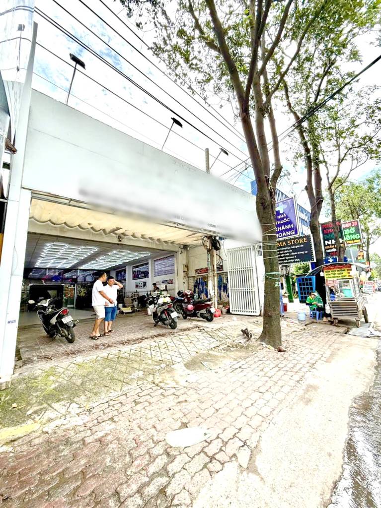 thuviennhadat.vn
